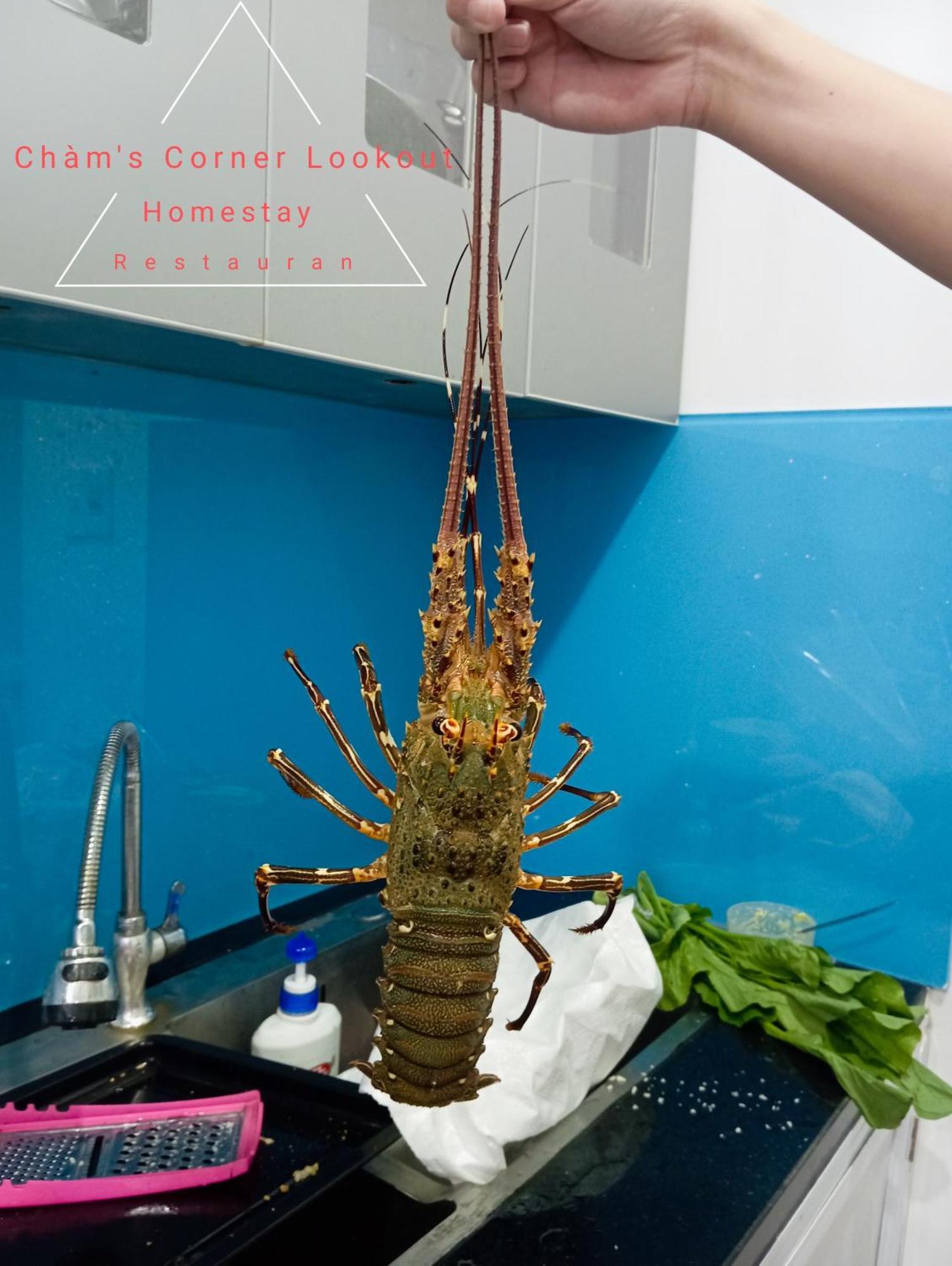 Cham'S Corner Lookout Homestay & Restaurant Tan Hiep  Экстерьер фото